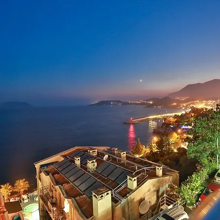 Belinda 3* カシュ